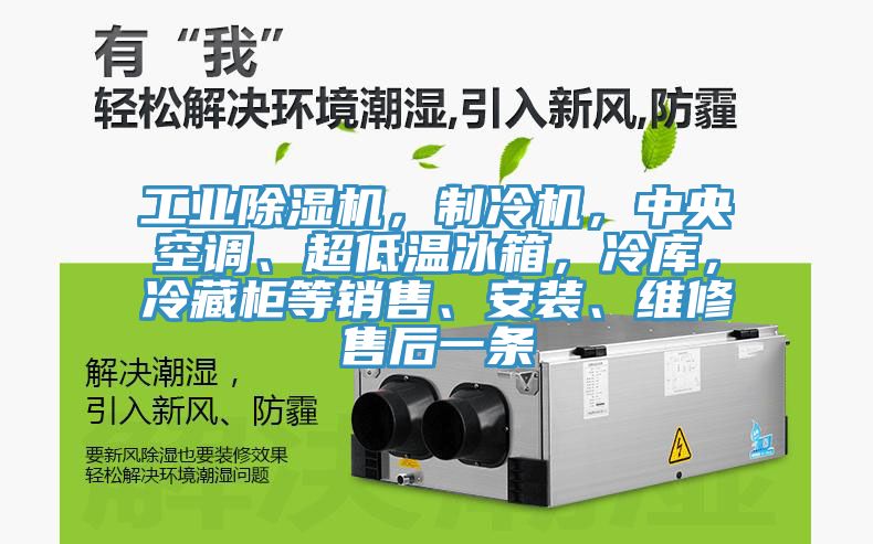 工業除濕機，制冷機，中央空調、超低溫冰箱，冷庫，冷藏柜等銷售、安裝、維修售后一條