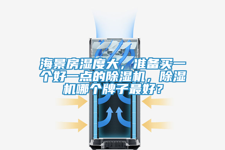 海景房濕度大，準(zhǔn)備買(mǎi)一個(gè)好一點(diǎn)的除濕機(jī)，除濕機(jī)哪個(gè)牌子最好？