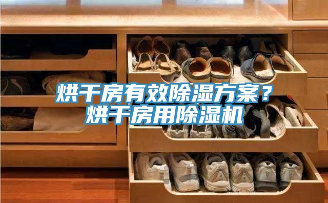 烘干房有效除濕方案?烘干房用除濕機(jī)