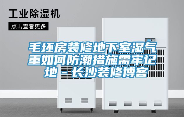 毛坯房裝修地下室濕氣重如何防潮措施需牢記 地-長沙裝修博客