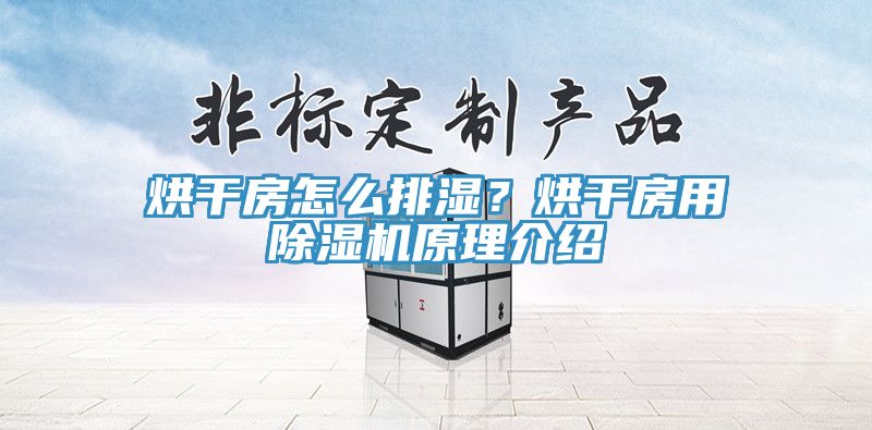 烘干房怎么排濕?烘干房用除濕機(jī)原理介紹
