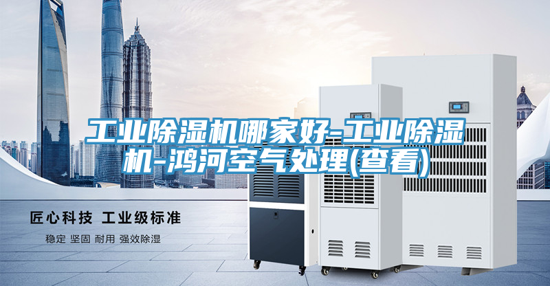 工業除濕機哪家好-工業除濕機-鴻河空氣處理(查看)