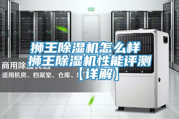 獅王除濕機(jī)怎么樣 獅王除濕機(jī)性能評測【詳解】