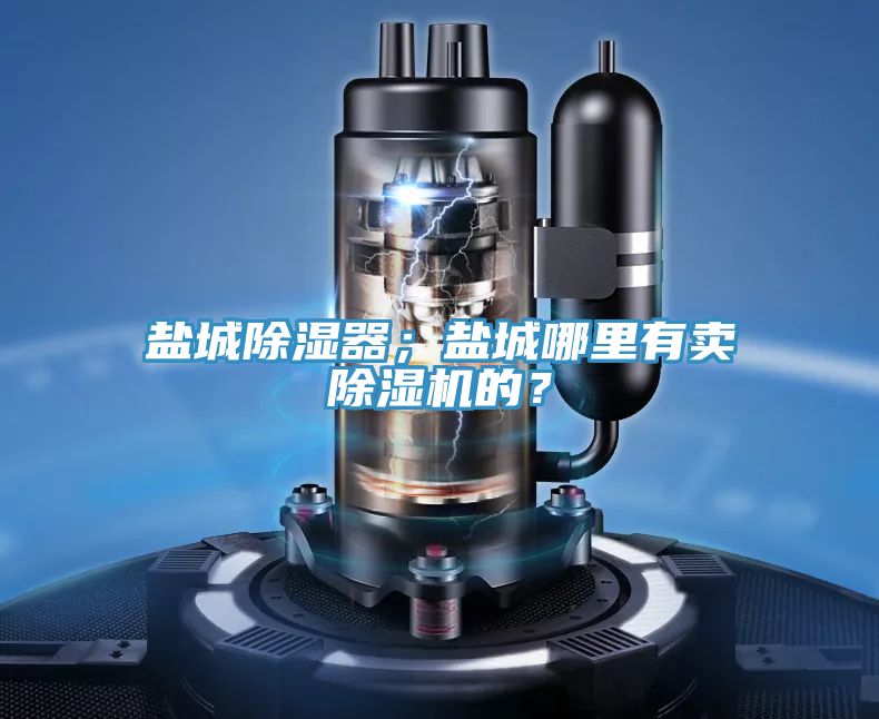 鹽城除濕器;鹽城哪里有賣除濕機的?