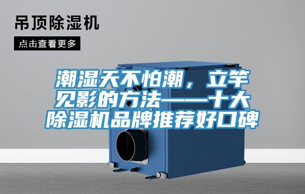 潮濕天不怕潮，立竿見影的方法——十大除濕機(jī)品牌推薦好口碑