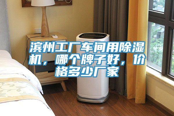 濱州工廠車間用除濕機(jī)，哪個牌子好，價格多少廠家