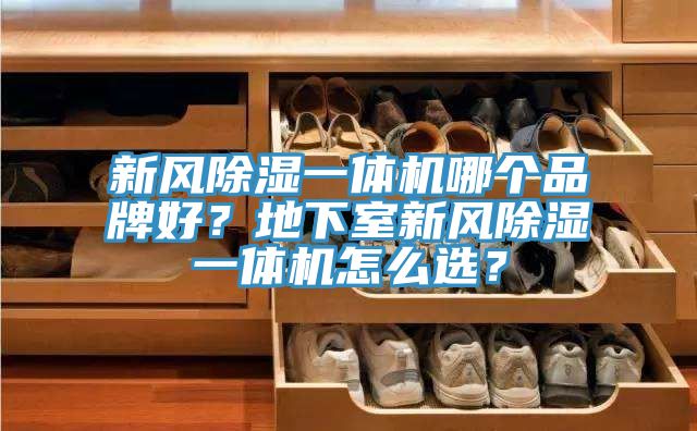 新風除濕一體機哪個品牌好？地下室新風除濕一體機怎么選？
