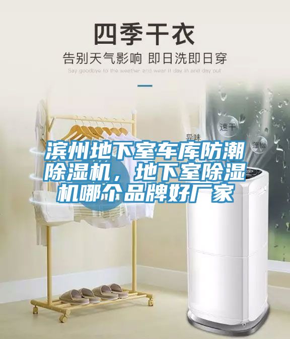 濱州地下室車庫防潮除濕機(jī)，地下室除濕機(jī)哪個品牌好廠家