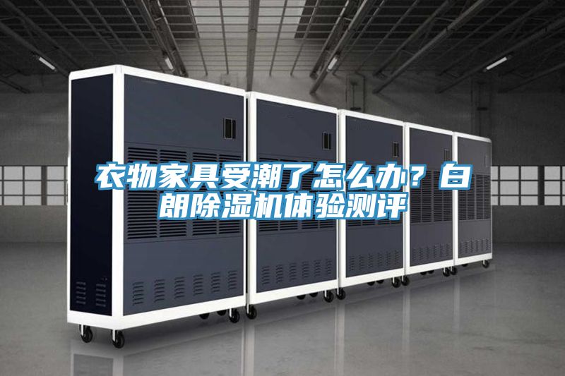衣物家具受潮了怎么辦?白朗除濕機體驗測評