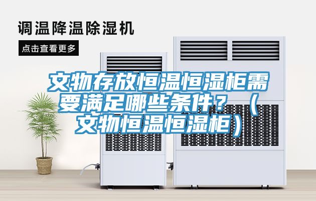 文物存放恒溫恒濕柜需要滿足哪些條件？（文物恒溫恒濕柜）
