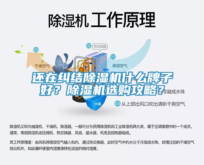還在糾結除濕機什么牌子好？除濕機選購攻略？
