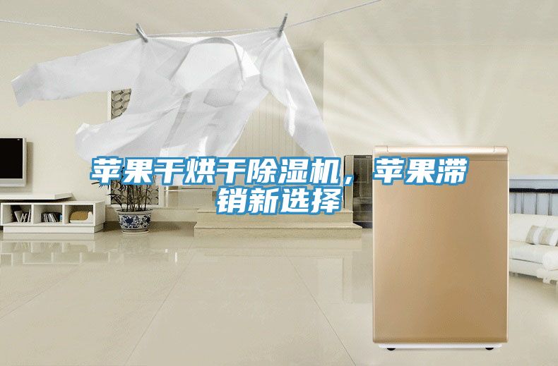蘋(píng)果干烘干除濕機(jī),蘋(píng)果滯銷新選擇