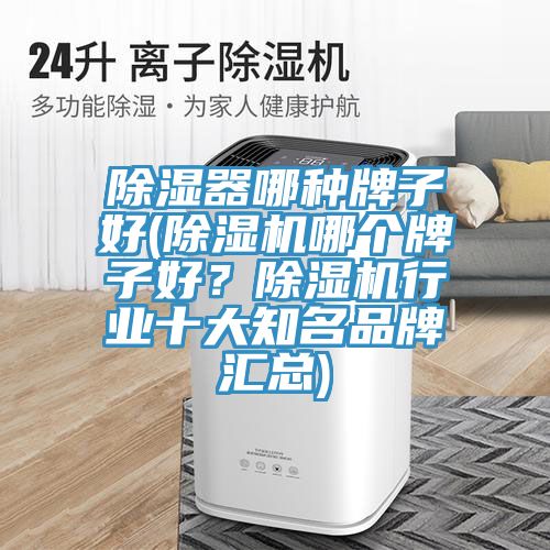 除濕器哪種牌子好(除濕機哪個牌子好?除濕機行業十大知名品牌匯總)