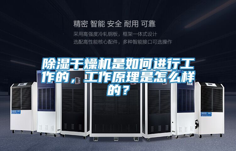 除濕干燥機是如何進行工作的,工作原理是怎么樣的?