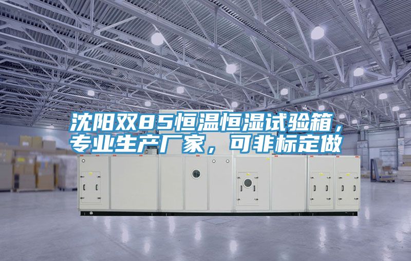 沈陽雙85恒溫恒濕試驗箱,專業生產廠家,可非標定做