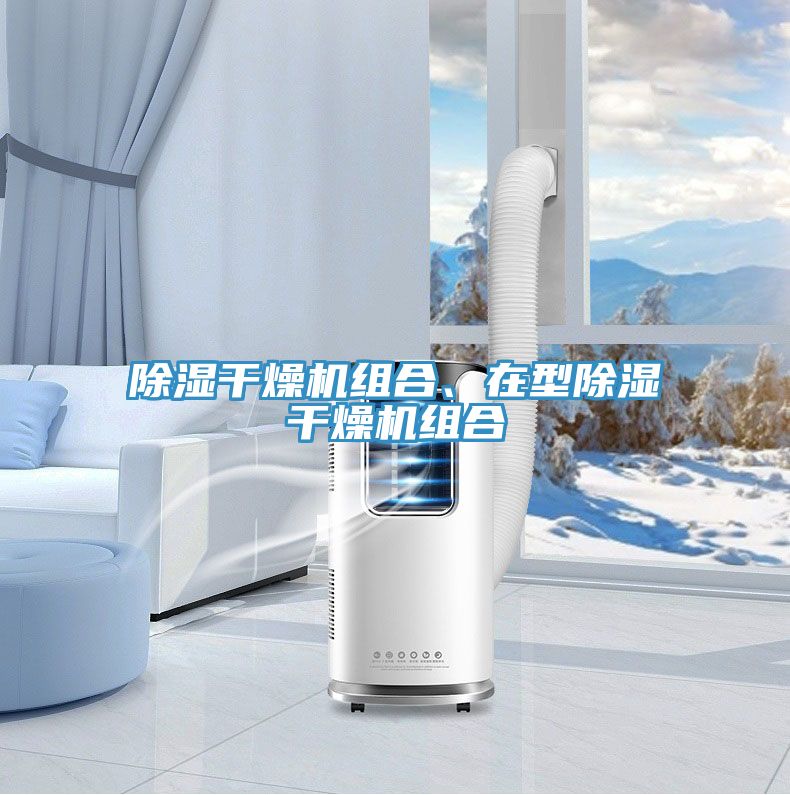 除濕干燥機組合、在型除濕干燥機組合