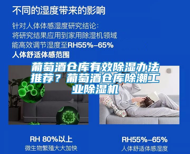 葡萄酒倉庫有效除濕辦法推薦?葡萄酒倉庫除潮工業除濕機