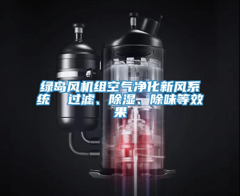 綠島風(fēng)機(jī)組空氣凈化新風(fēng)系統(tǒng)  過(guò)濾、除濕、除味等效果