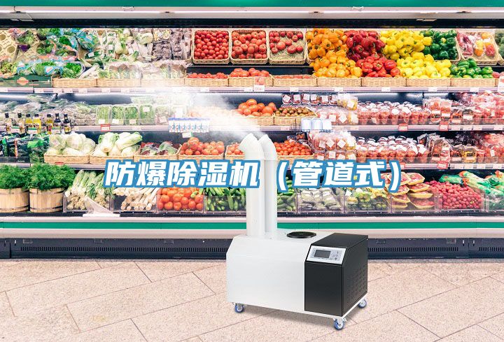 防爆除濕機(管道式)