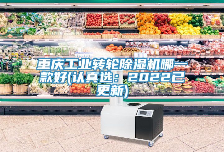 重慶工業(yè)轉(zhuǎn)輪除濕機哪一款好(認真選:2022已更新)