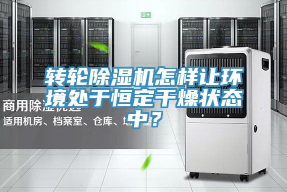 轉(zhuǎn)輪除濕機(jī)怎樣讓環(huán)境處于恒定干燥狀態(tài)中?