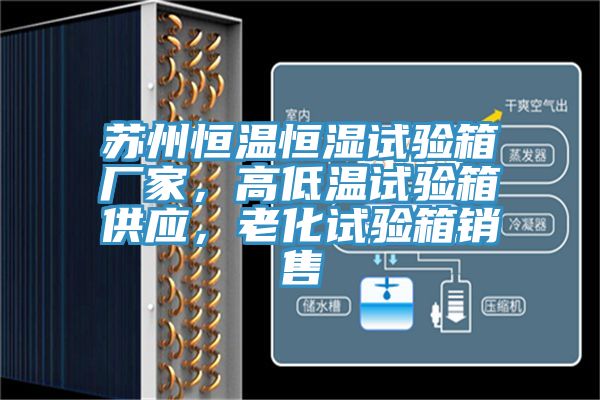 蘇州恒溫恒濕試驗(yàn)箱廠家,高低溫試驗(yàn)箱供應(yīng),老化試驗(yàn)箱銷售