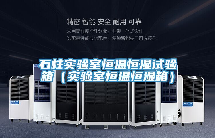 石柱實驗室恒溫恒濕試驗箱(實驗室恒溫恒濕箱)
