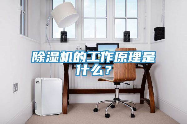 除濕機的工作原理是什么?