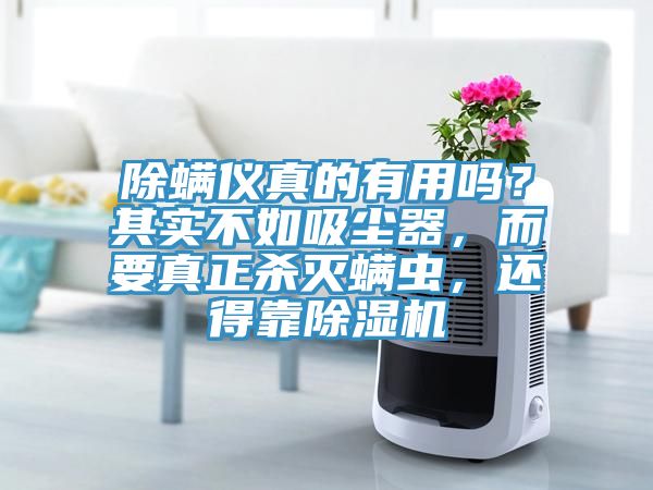 除螨儀真的有用嗎?其實不如吸塵器,而要真正殺滅螨蟲,還得靠除濕機