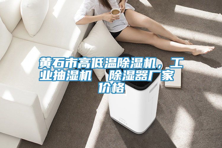 黃石市高低溫除濕機,工業抽濕機 除濕器廠家 價格