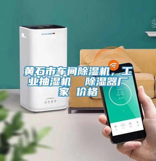 黃石市車間除濕機,工業抽濕機 除濕器廠家 價格
