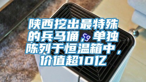 陜西挖出最特殊的兵馬俑，單獨陳列于恒溫箱中，價值超10億