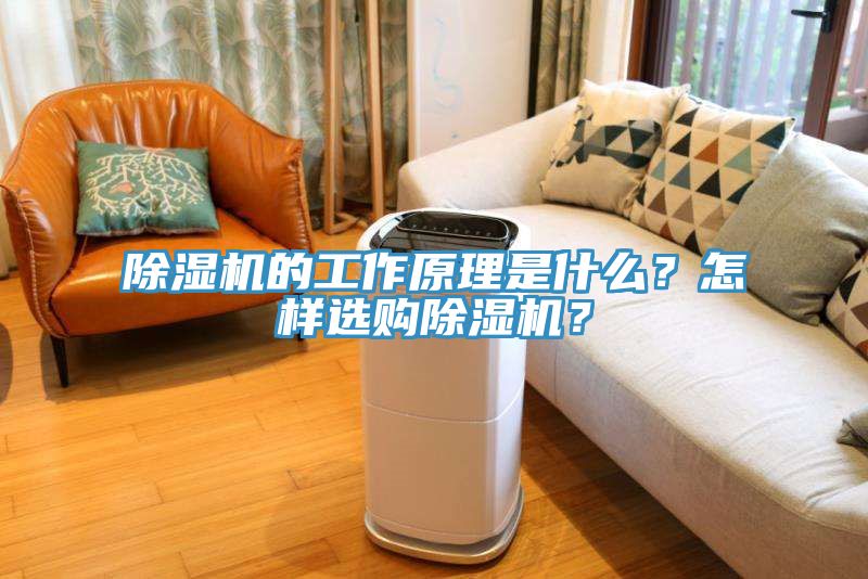 除濕機的工作原理是什么?怎樣選購除濕機?
