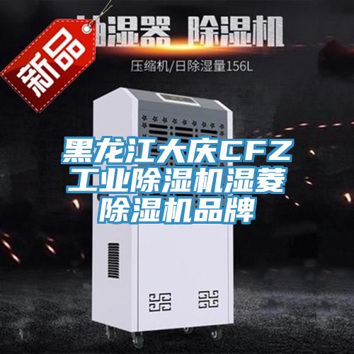 黑龍江大慶CFZ工業除濕機濕菱除濕機品牌